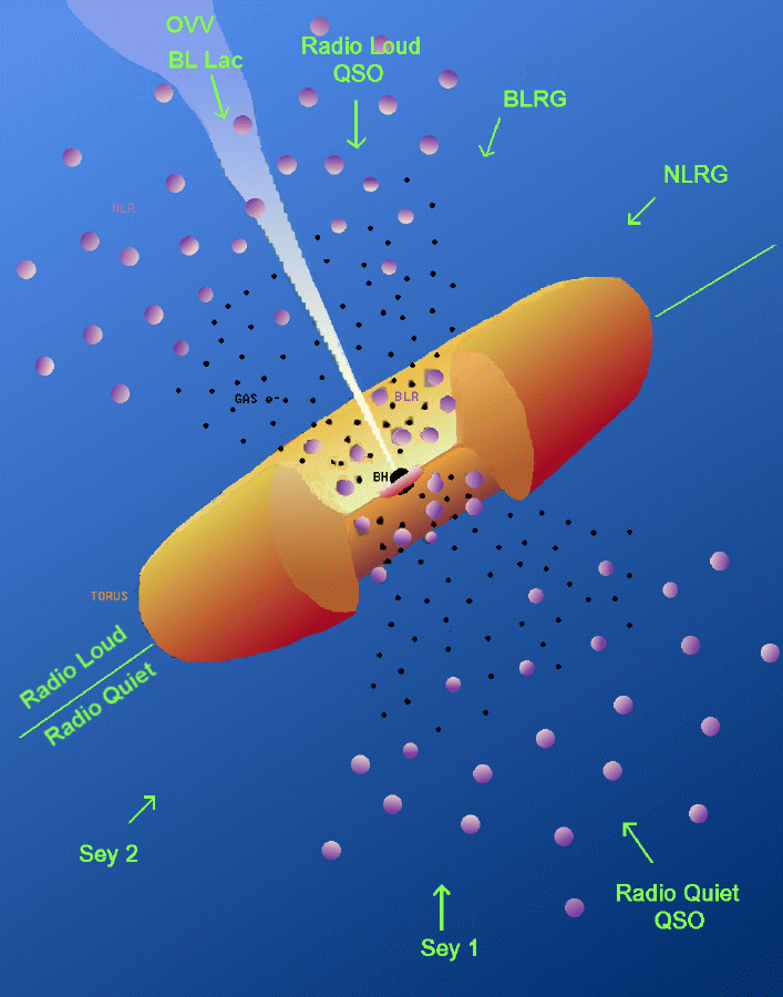 AGN unification model